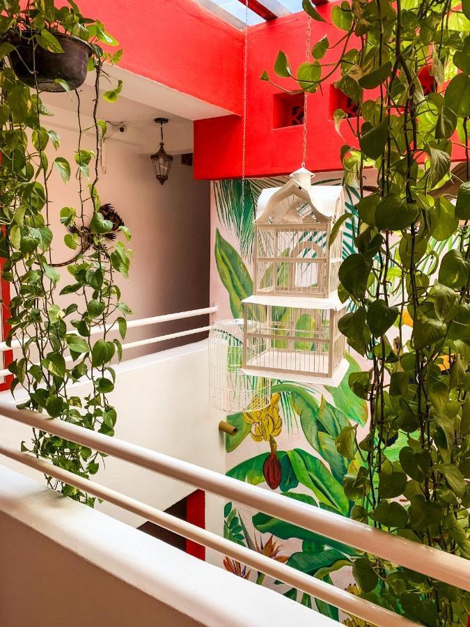 La Iguana Vallarta Lgbt Adults Only - Romantic Zone - Party Clubbing Street Puerto Vallarta Exterior foto